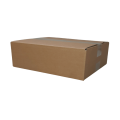 karton 300x250x100mm .png