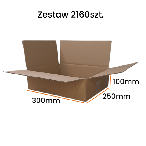 Karton 300x250x100 2160sztuk.png