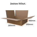 Karton 300x250x100 160sztuk.png