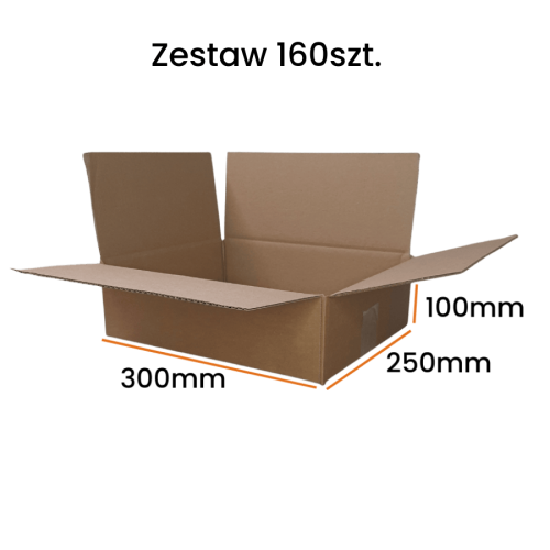 Karton 300x250x100 160sztuk.png